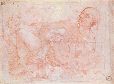 St. Jerome by Jacopo Pontormo